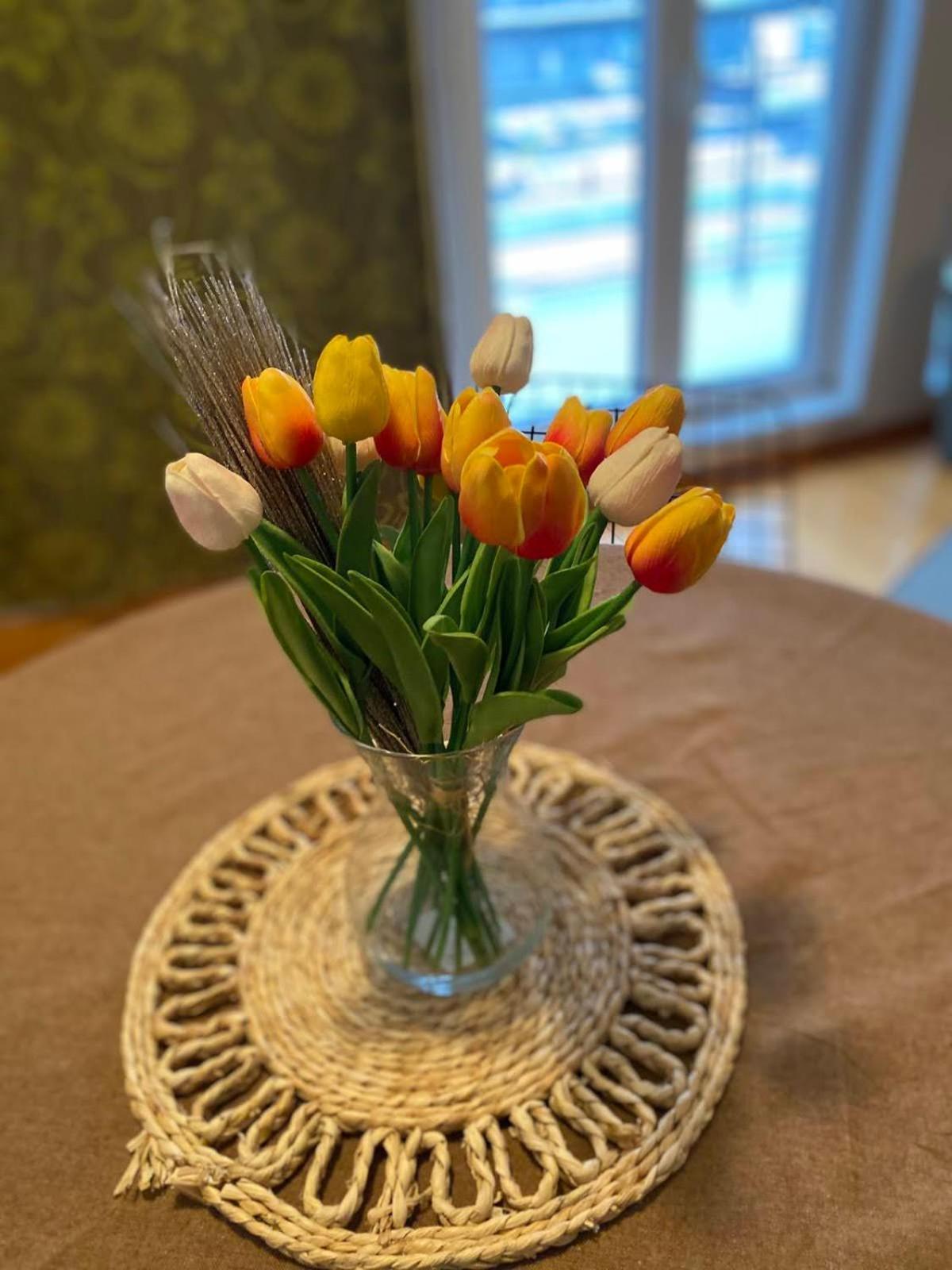 Garmani Apartment Vrnjacka Banja Ruang foto