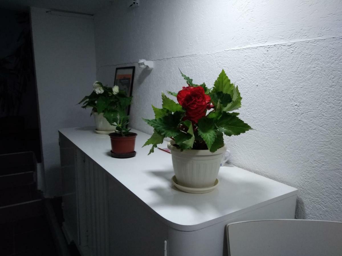 Garmani Apartment Vrnjacka Banja Bagian luar foto