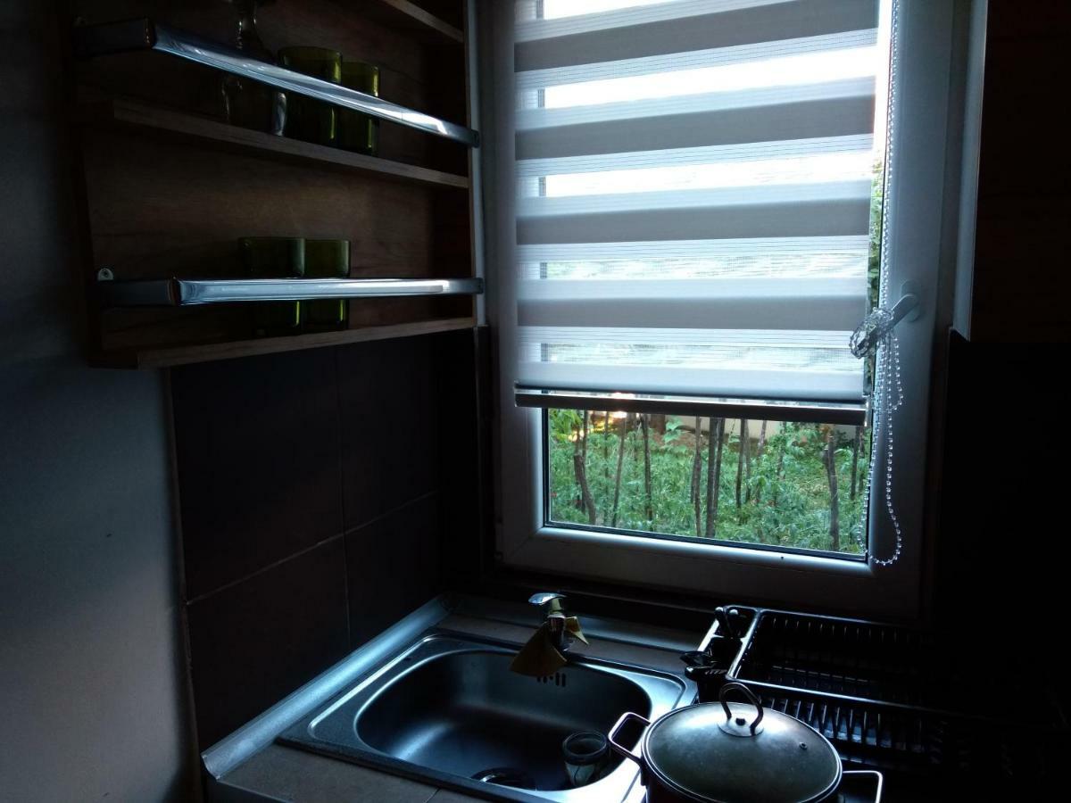Garmani Apartment Vrnjacka Banja Bagian luar foto